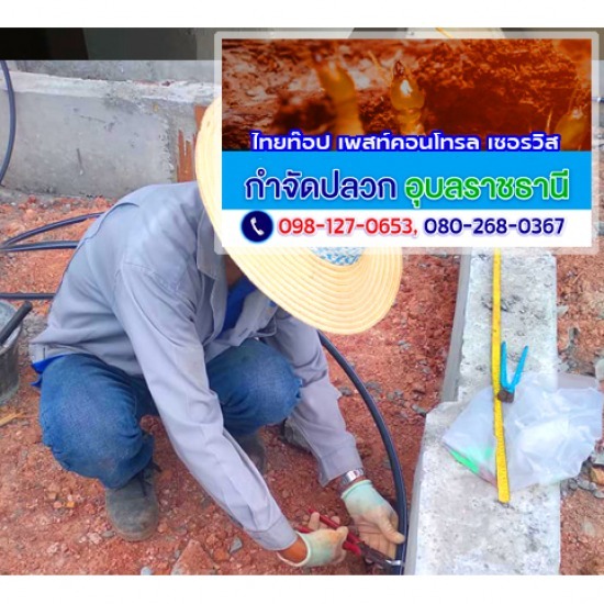 กำจัดปลวก มด แมลง อุบลราชธานี - งานวางท่อ(LDPE) อัดน้ำยาเคมีกำจัดปลวก