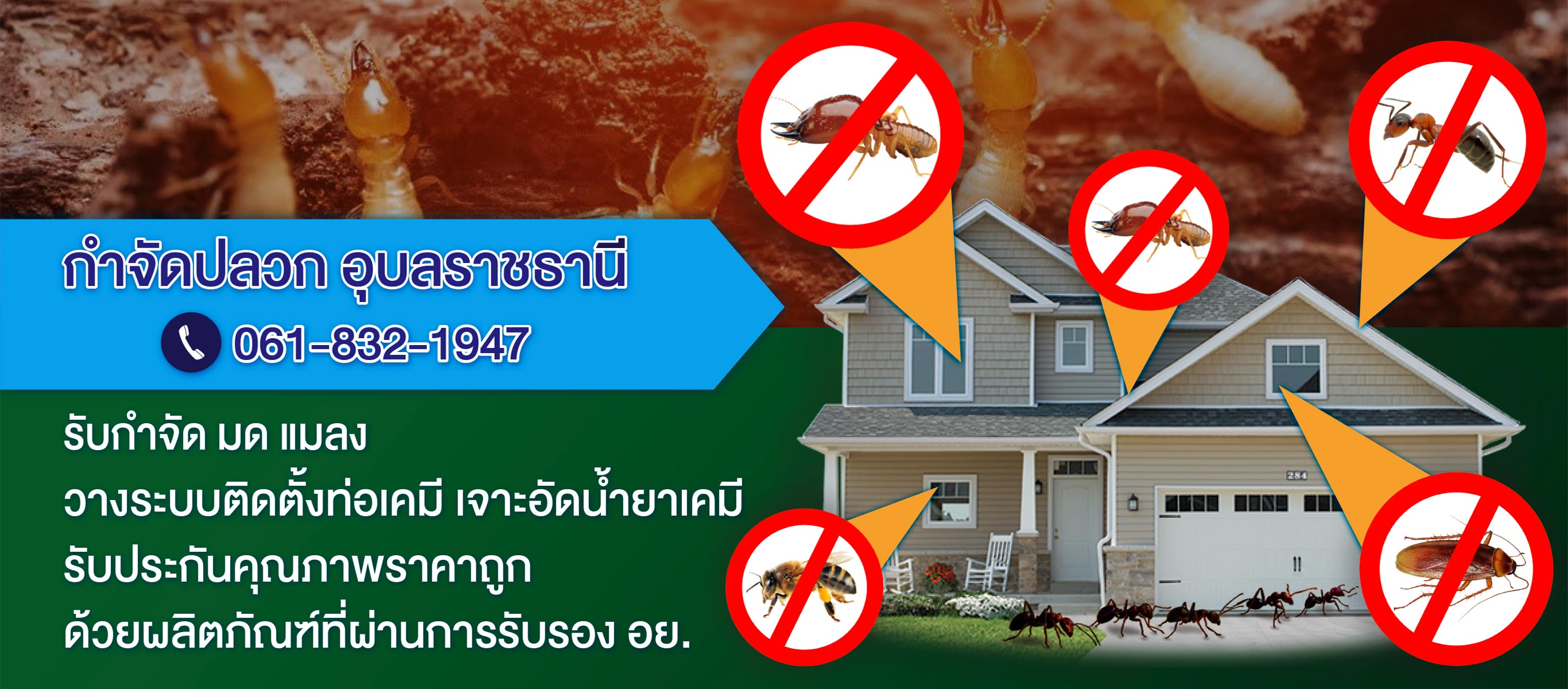 ร บกำจ ดปลวกตายยกร งราคาถ กร บประก นค ณภาพ 100 กำจ ดปลวกอ บล